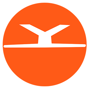 Login form logo
